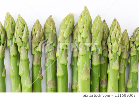 green asparagus on white background green asparagus on white background 111599302