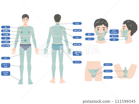 Hair loss areas on the whole body of men 111599345