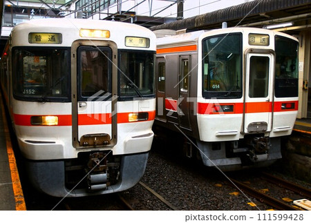 Tokaido Main Line 311 series and 313 series (Ogaki Station) 111599428