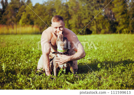 An American Bully dog licks face of its owner, bearded Caucasian man in his 30s, posing for photograph while sitting in grass on summer evening in suburbs. 111599613