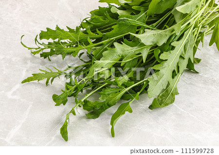 Fresh tasty natural organic rucola 111599728