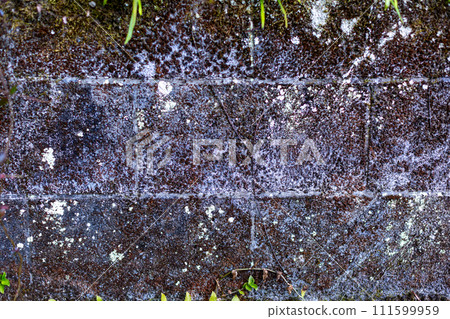 塊體外壁 111599959