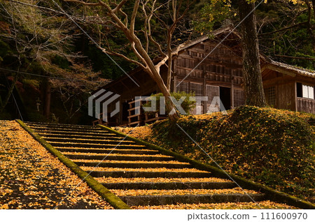 Carpet of fallen leaves 111600970