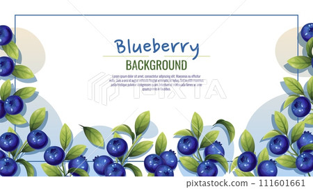 Banner design with blueberries and green leaves. Poster, background with wild berries. Wholesome, healthy food. Flying fresh vector illustration 111601661