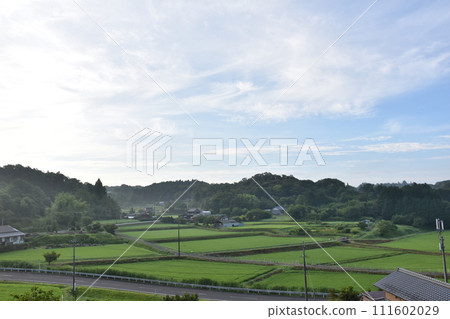 早上農村風光 111602029