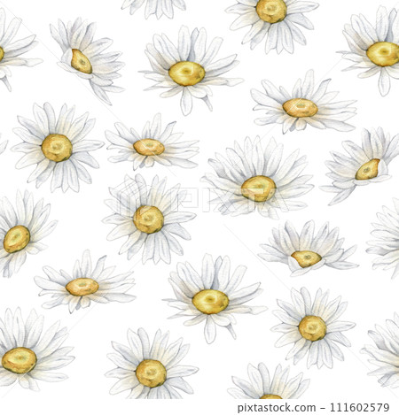 Seamless pattern Watercolor chamomile. Hand drawn illustration of daisy. White blossom flowers on isolated background. Drawing summer botanical for textile. Hand painted wildflowers. Seamless pattern Watercolor chamomile. Hand drawn illustration of daisy. White blossom flowers on isolated background. Drawing summer botanical for textile. Hand painted wildflowers. 111602579