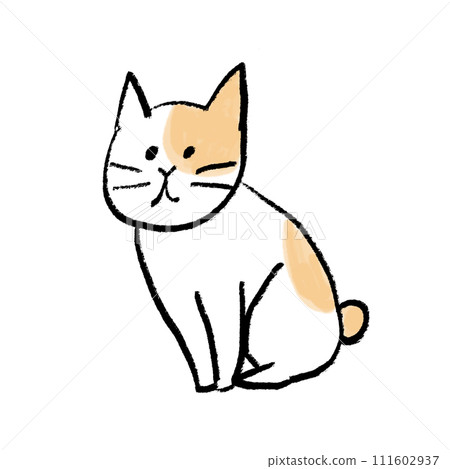 sitting cat 111602937