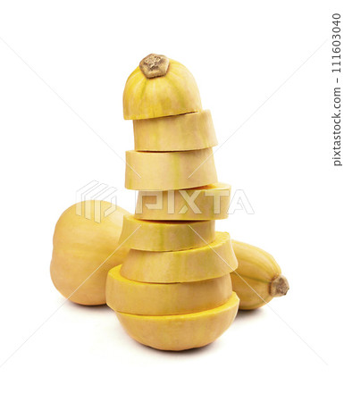 Pumpkin isolated. Orange squash. Fall holidays, halloween, thanksgiving day, food concept. 111603040