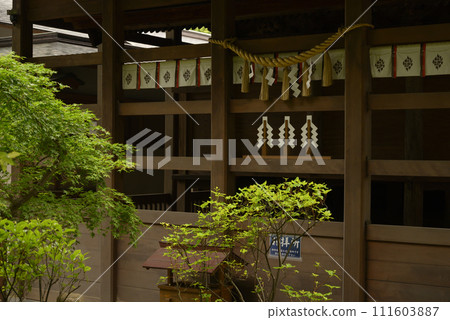 Fresh green Morooka Kumano Shrine Fresh green Morooka Kumano Shrine 111603887