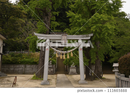 Torii of Sugiyama Shrine Torii of Sugiyama Shrine 111603888