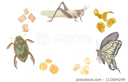 Hand-drawn watercolor style illustration of insect food snacks Hand-drawn watercolor style illustration of insect food snacks 111604299