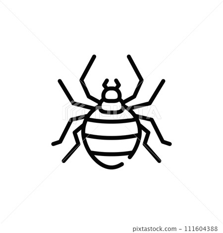 spider spider 111604388