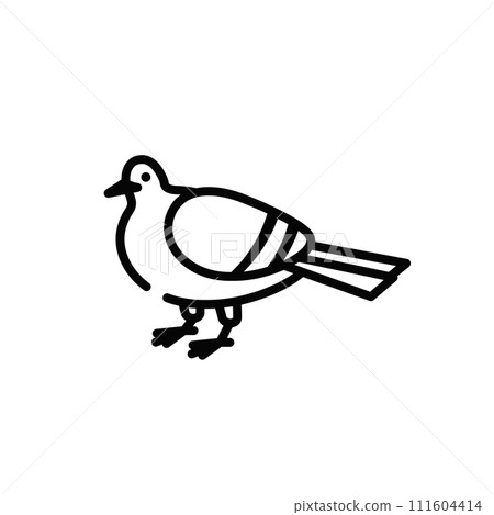 鴿子 鴿子 111604414