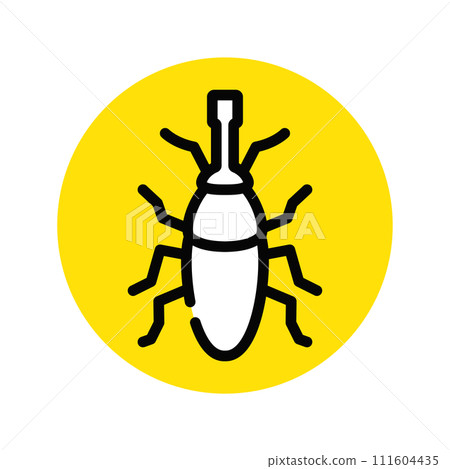 Rice weevil Rice insect Rice weevil Rice insect 111604435