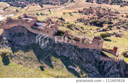 Ruins of Castle of Riba de Santiuste from above 111605626