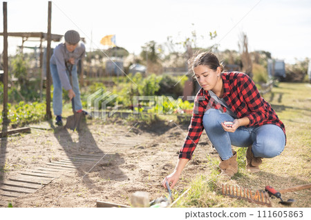 Positive young woman earthing seeds of berries and vegetables into the ground while working in garden during daytime in April Positive young woman earthing seeds of berries and vegetables into the ground while working in garden during daytime in April 111605863