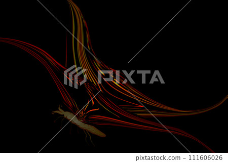 Silhouette of a butterfly on a black background.Colorful outline of a butterfly in neon color. 111606026