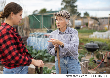 Two disappointed young and old female neighbors quarreling while digging garden during daytime in April Two disappointed young and old female neighbors quarreling while digging garden during daytime in April 111606111