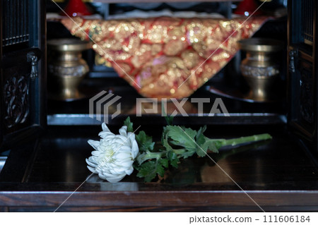 White chrysanthemum placed in front of the Buddhist altar 111606184