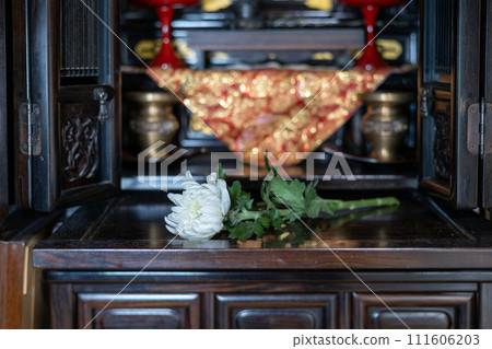Ichirin's white chrysanthemum flowers placed in front of the Buddhist altar 111606203