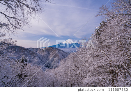 （山梨縣）日本的冬季風景·降雪後從禦坂路看到的富士山 111607380