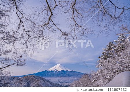 (山梨縣)日本的冬季風景·降雪後從禦坂路看到的富士山 (山梨縣)日本的冬季風景·降雪後從禦坂路看到的富士山 111607382