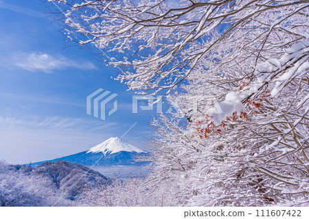 (山梨縣)日本的冬季風景·降雪後從禦坂路看到的富士山 (山梨縣)日本的冬季風景·降雪後從禦坂路看到的富士山 111607422