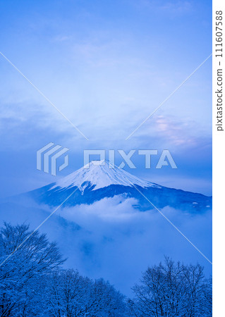 (Yamanashi Prefecture) Japan's winter scenery - Mt. Fuji emerging from the clouds after falling snow 111607588