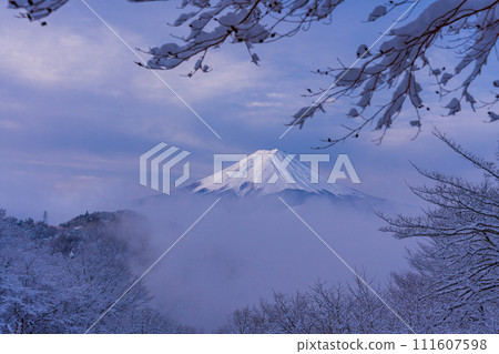 (山梨縣)日本的冬季風景-降雪後從雲中露出的富士山 (山梨縣)日本的冬季風景-降雪後從雲中露出的富士山 111607598