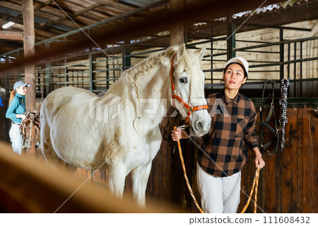 Woman holding rein and leading horse out of stable Woman holding rein and leading horse out of stable 111608432