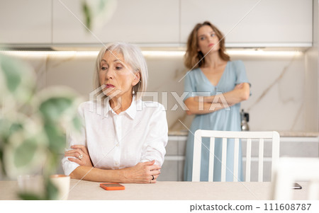Adult woman quarreling with elderly woman in kitchen Adult woman quarreling with elderly woman in kitchen 111608787