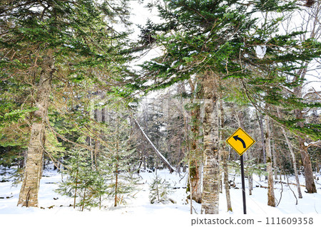 Guidepost in the woods 111609358