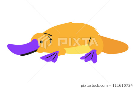 Australian platypus - modern flat design style single isolated image 111610724