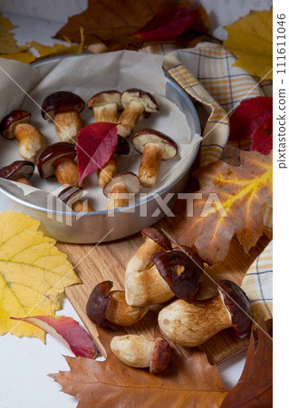 Several Imleria Badia or Boletus badius mushrooms commonly known as the bay bolete, vintage baking sheet with mushrooms on wooden cutting board.. Several Imleria Badia or Boletus badius mushrooms commonly known as the bay bolete, vintage baking sheet with mushrooms on wooden cutting board.. 111611046