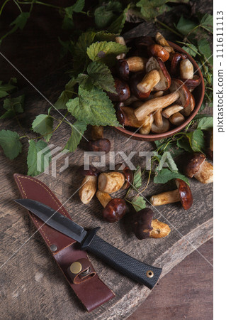 Pile of Imleria Badia or Boletus badius mushrooms commonly known as the bay bolete with knife on vintage wooden background.. Pile of Imleria Badia or Boletus badius mushrooms commonly known as the bay bolete with knife on vintage wooden background.. 111611113
