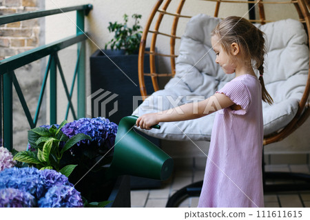A girl watering hydrangeas on the balcony 111611615
