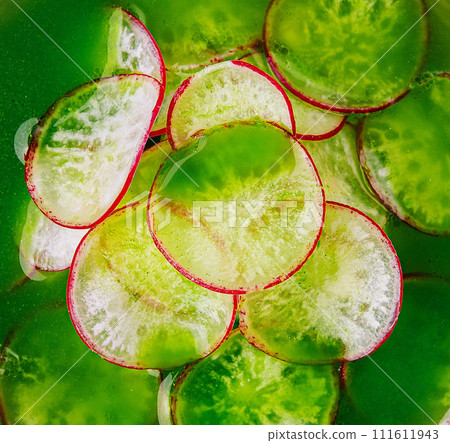 Summer cold soup - okroshka close up top view 111611943