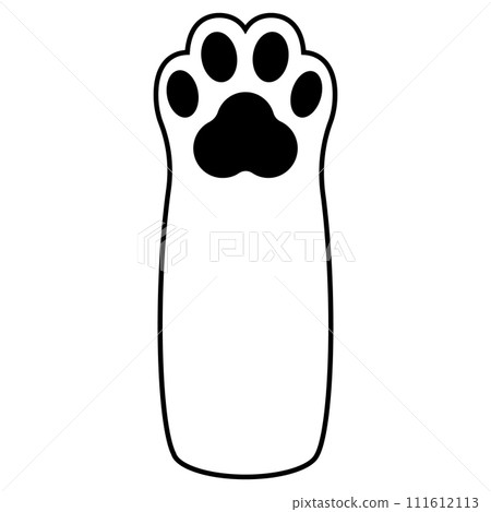 white cat paws with black paws white cat paws with black paws 111612113