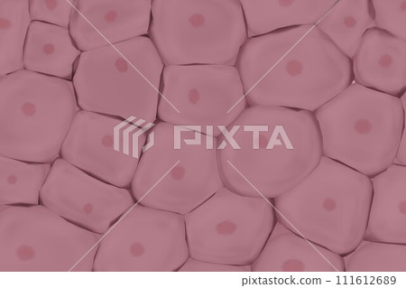 Image of multiple animal cells - Stock Illustration [111612689] - PIXTA