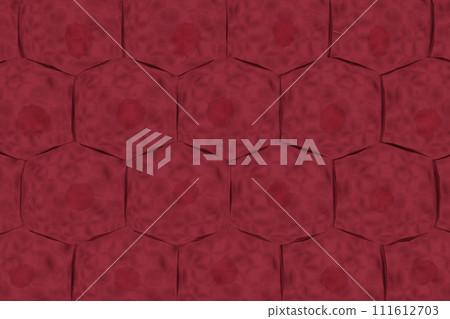 Image of multiple animal cells arranged regularly Image of multiple animal cells arranged regularly 111612703