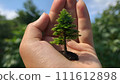 手拿樹植樹的圖像插圖 111612898