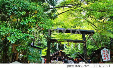 京都/嵐山“野宮神社” 京都/嵐山“野宮神社” 111612921