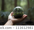手掌中的小森林－用人的雙手保護森林的永續發展目標圖解 111612981