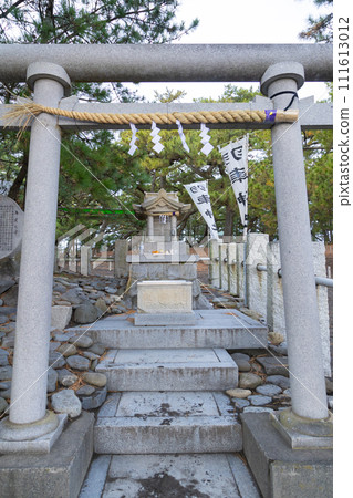 Miho no Matsubara with Hagoromo pine, Japan's three largest pine 111613012