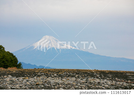 Mt. Fuji and pine forest in Shizuoka Prefecture, one of Japan's three major pine forests Mt. Fuji and pine forest in Shizuoka Prefecture, one of Japan's three major pine forests 111613017