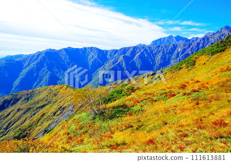 八芳一與秋葉/長野縣白馬村 八芳一與秋葉/長野縣白馬村 111613881