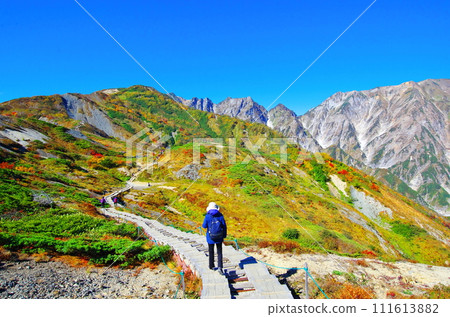 八芳一與秋葉/長野縣白馬村 111613882