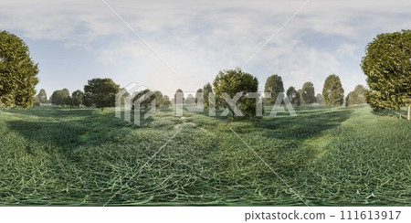 Panoramic View of a Lush Green Meadow Surrounded by Trees on a Clear Day 360 panorama vr environment map 111613917
