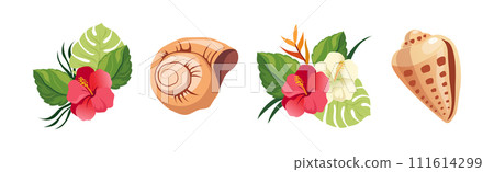 Spiral Conch and Sea Shell and Tropical Exotic Flora Vector Set Spiral Conch and Sea Shell and Tropical Exotic Flora Vector Set 111614299