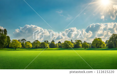 Wide lawn trimmed with precision under a blue sunny sky Wide lawn trimmed with precision under a blue sunny sky 111615220